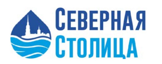 Проект - Подготовка материалов и сопровождение ГЭЭ для АО «Северная столица»
